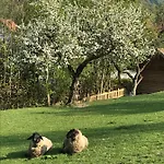 Ober Gasthof Siegsdorf