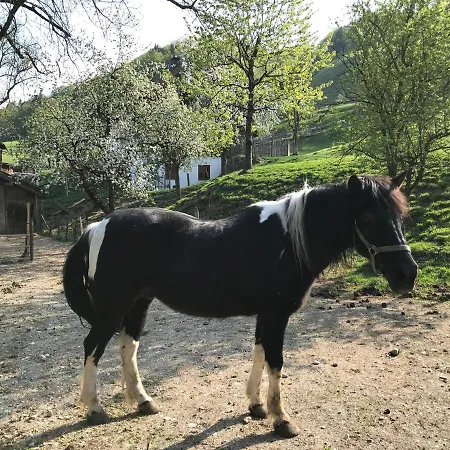 Ober ゲストハウス