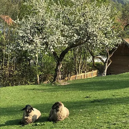 Ober Maison d'hôtes Siegsdorf