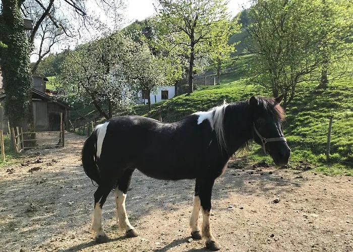 Ober بيت ضيافة