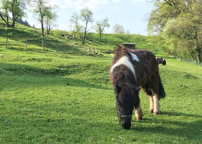 Ober بيت ضيافة 4*