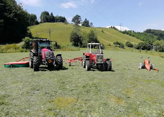 Ober بيت ضيافة 4*